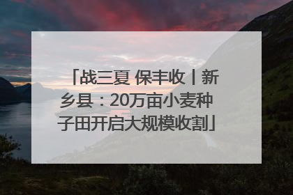 战三夏 保丰收丨新乡县：20万亩小麦种子田开启大规模收割