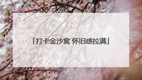 打卡金沙窝 怀旧感拉满