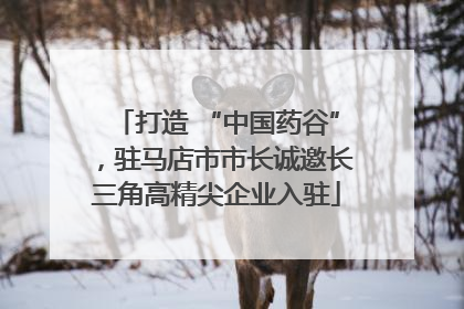 打造 “中国药谷”，驻马店市市长诚邀长三角高精尖企业入驻