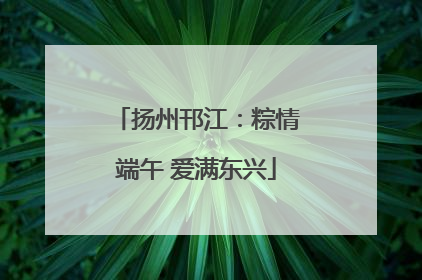 扬州邗江：粽情端午 爱满东兴