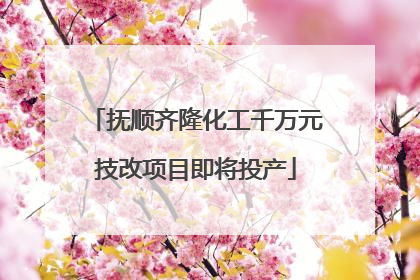 抚顺齐隆化工千万元技改项目即将投产