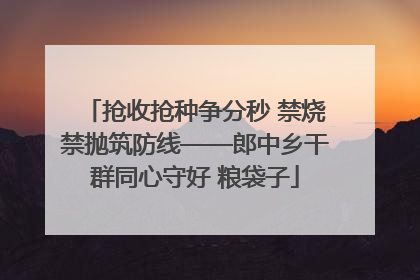抢收抢种争分秒 禁烧禁抛筑防线——郎中乡干群同心守好 粮袋子