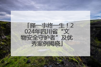 择一事终一生！2024年四川省“文物安全守护者”及优秀案例揭晓