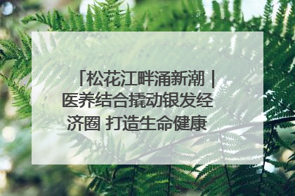 松花江畔涌新潮｜医养结合撬动银发经济圈 打造生命健康产业新样本