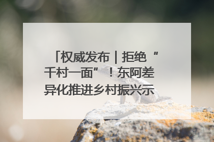 权威发布｜拒绝“千村一面”！东阿差异化推进乡村振兴示范片区建设
