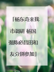 杨东奇来我市调研 杨国强陈必昌田和友分别参加