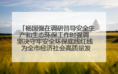 杨国强在调研督导安全生产和生态环保工作时强调 坚决守牢安全环保底线红线 为全市经济社会高质量发展提供坚强保障