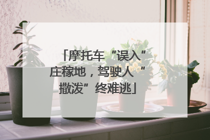 摩托车“误入”庄稼地，驾驶人“撒泼”终难逃