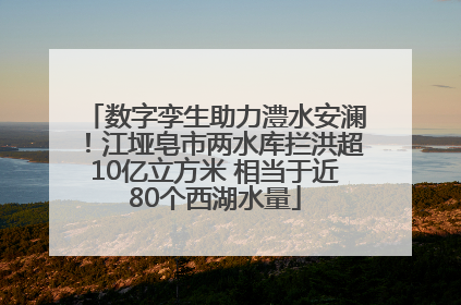 数字孪生助力澧水安澜！江垭皂市两水库拦洪超10亿立方米 相当于近80个西湖水量