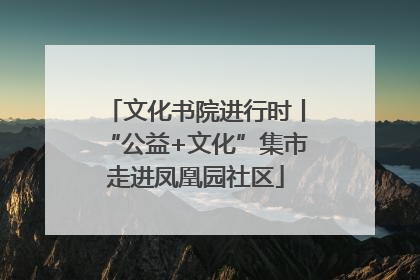 文化书院进行时丨“公益+文化”集市走进凤凰园社区
