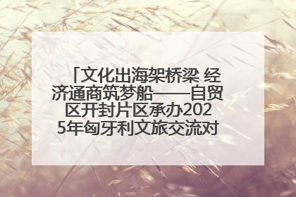 文化出海架桥梁 经济通商筑梦船——自贸区开封片区承办2025年匈牙利文旅交流对接活动专场