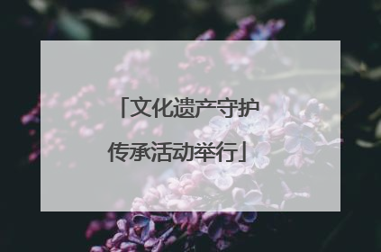 文化遗产守护传承活动举行