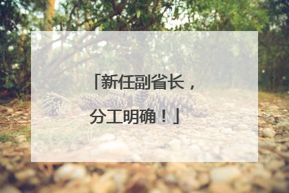 新任副省长，分工明确！