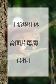 新华社体育图片每周佳作