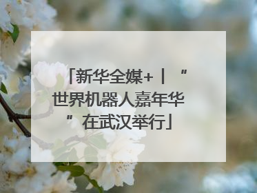 新华全媒+丨“世界机器人嘉年华”在武汉举行