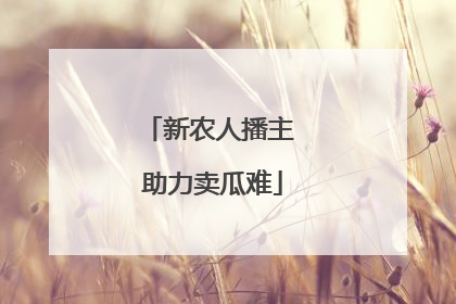 新农人播主 助力卖瓜难