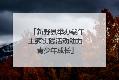 新野县举办端午主题实践活动助力青少年成长