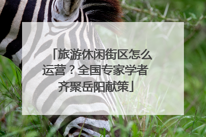 旅游休闲街区怎么运营？全国专家学者齐聚岳阳献策