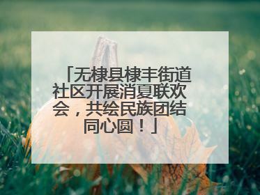 无棣县棣丰街道社区开展消夏联欢会，共绘民族团结同心圆！