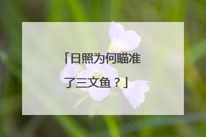 日照为何瞄准了三文鱼？