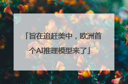 旨在追赶美中，欧洲首个AI推理模型来了