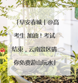 早安春城丨@高考生 加油！考试结束，云南景区请你免费游山玩水