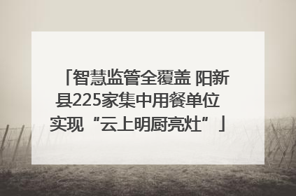 智慧监管全覆盖 阳新县225家集中用餐单位实现“云上明厨亮灶”