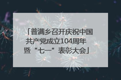 普满乡召开庆祝中国共产党成立104周年暨“七一”表彰大会