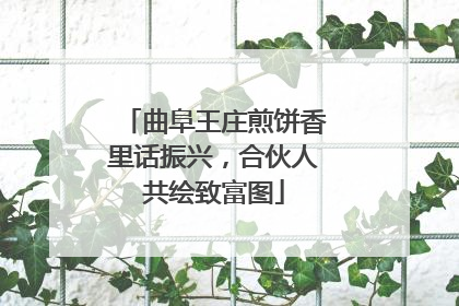 曲阜王庄煎饼香里话振兴，合伙人共绘致富图
