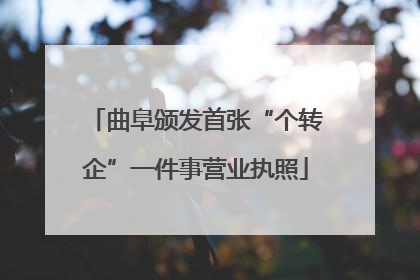 曲阜颁发首张“个转企”一件事营业执照