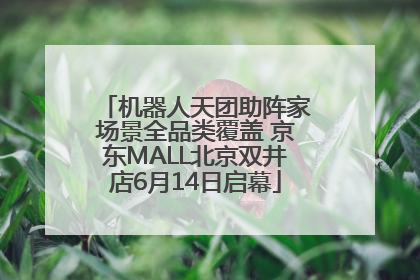 机器人天团助阵家场景全品类覆盖 京东MALL北京双井店6月14日启幕