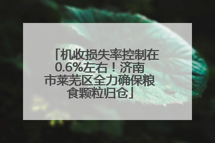 机收损失率控制在0.6%左右！济南市莱芜区全力确保粮食颗粒归仓