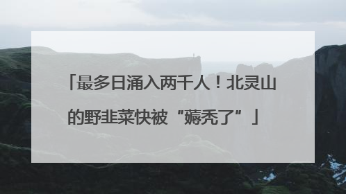 最多日涌入两千人！北灵山的野韭菜快被“薅秃了”