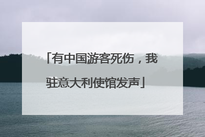 有中国游客死伤，我驻意大利使馆发声