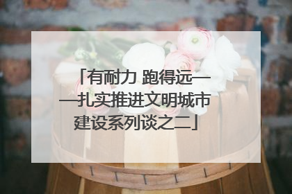 有耐力 跑得远——扎实推进文明城市建设系列谈之二