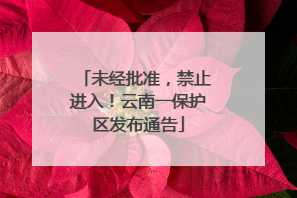 未经批准，禁止进入！云南一保护区发布通告