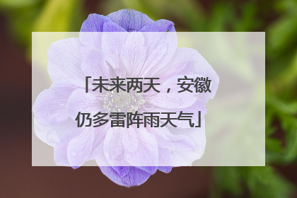 未来两天，安徽仍多雷阵雨天气