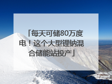 每天可储80万度电！这个大型锂钠混合储能站投产