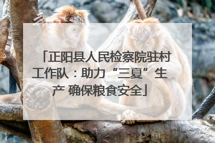 正阳县人民检察院驻村工作队：助力“三夏”生产 确保粮食安全