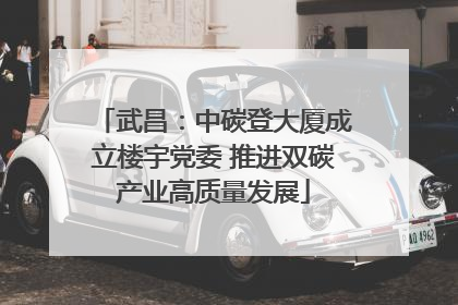 武昌：中碳登大厦成立楼宇党委 推进双碳产业高质量发展