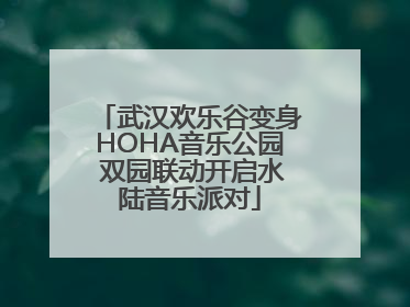 武汉欢乐谷变身HOHA音乐公园 双园联动开启水陆音乐派对