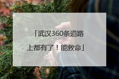 武汉360条道路上都有了！能救命
