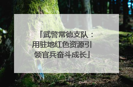 武警常德支队：用驻地红色资源引领官兵奋斗成长