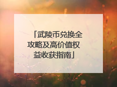 武陵币兑换全攻略及高价值权益收获指南