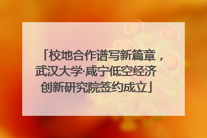校地合作谱写新篇章，武汉大学·咸宁低空经济创新研究院签约成立