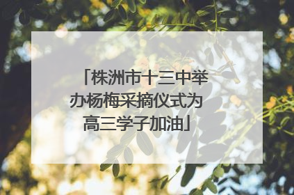株洲市十三中举办杨梅采摘仪式为高三学子加油