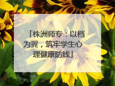 株洲师专：以档为翼，筑牢学生心理健康防线
