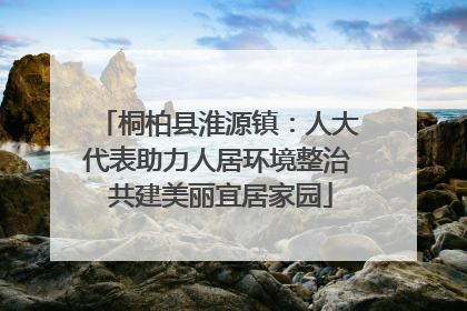 桐柏县淮源镇：人大代表助力人居环境整治 共建美丽宜居家园