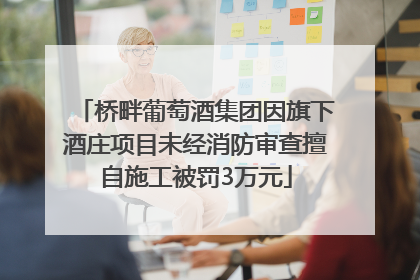 桥畔葡萄酒集团因旗下酒庄项目未经消防审查擅自施工被罚3万元