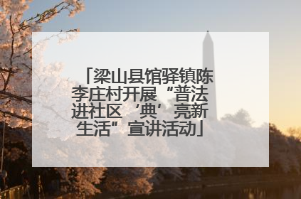梁山县馆驿镇陈李庄村开展“普法进社区‘典’亮新生活”宣讲活动